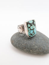 Load image into Gallery viewer, Blue Lichen