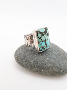 Blue Lichen