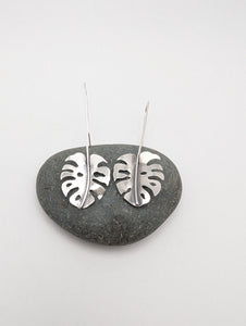 Monstera Leaves