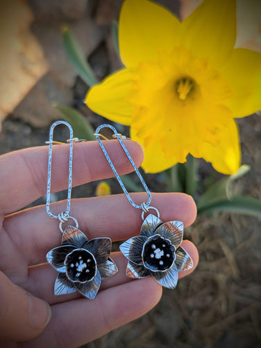 Spring Daffodils