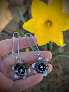 Spring Daffodils