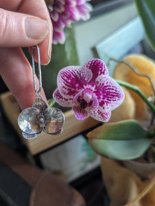 Pukalani Orchids