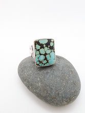 Load image into Gallery viewer, Blue Lichen
