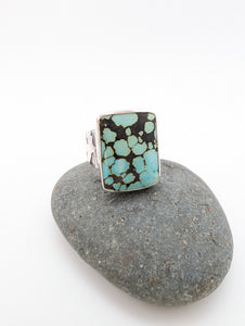 Blue Lichen