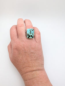 Blue Lichen